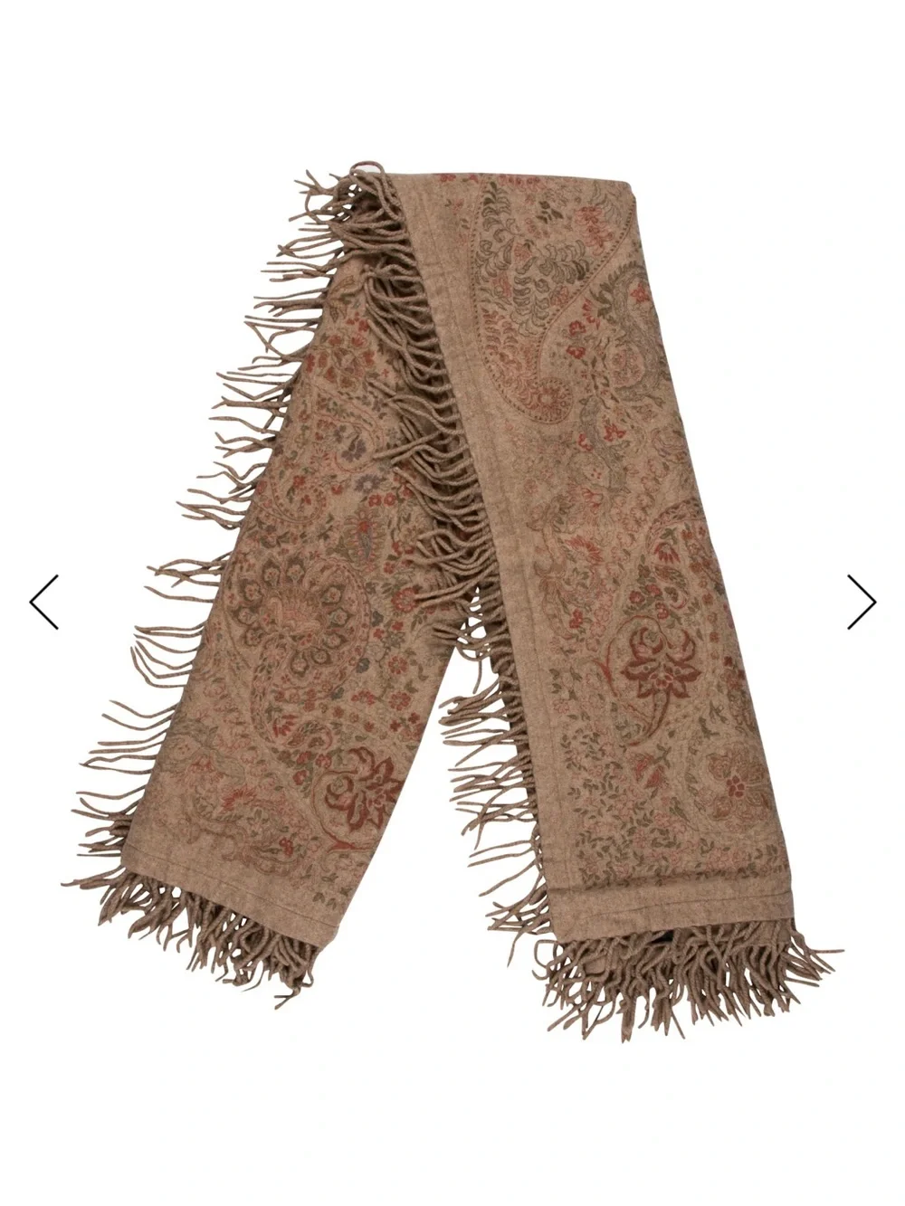 Etro Cashmere Floral Paisley Fringe Throw Blanket Home